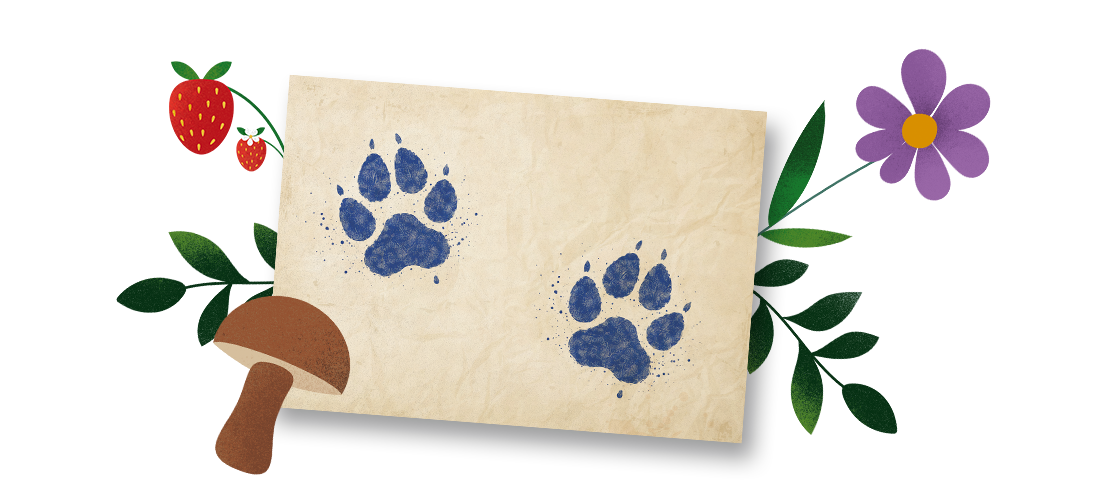 Martinus Knižní putování 4