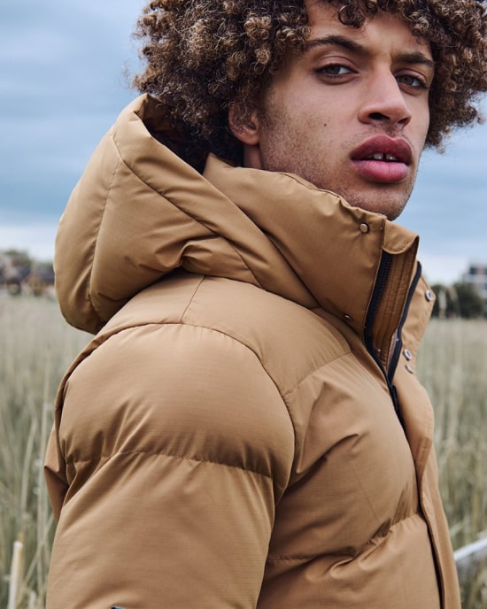 superdry
