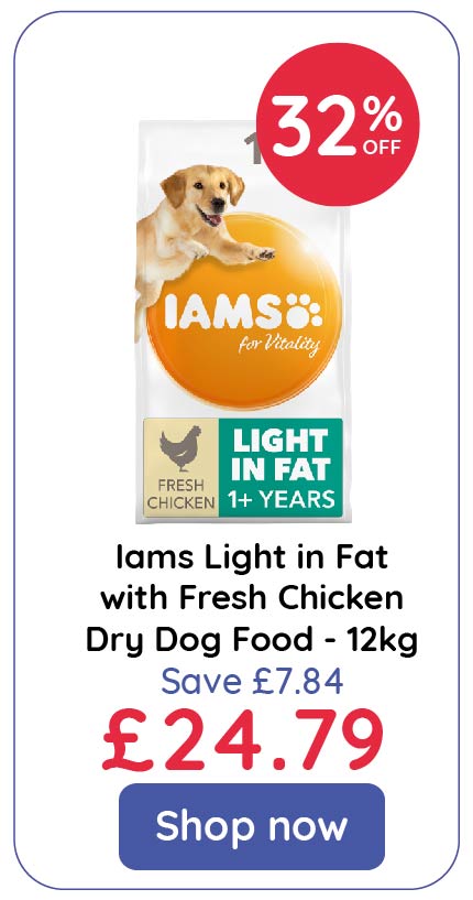 Iams medium dog outlet food 12kg