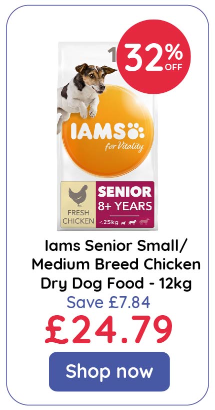 Iams senior 2024 dog food 12kg