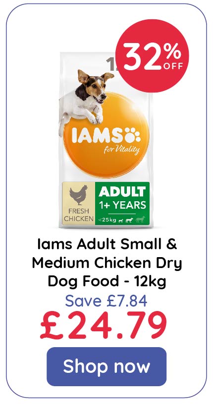 Iams small dog food 12kg sale