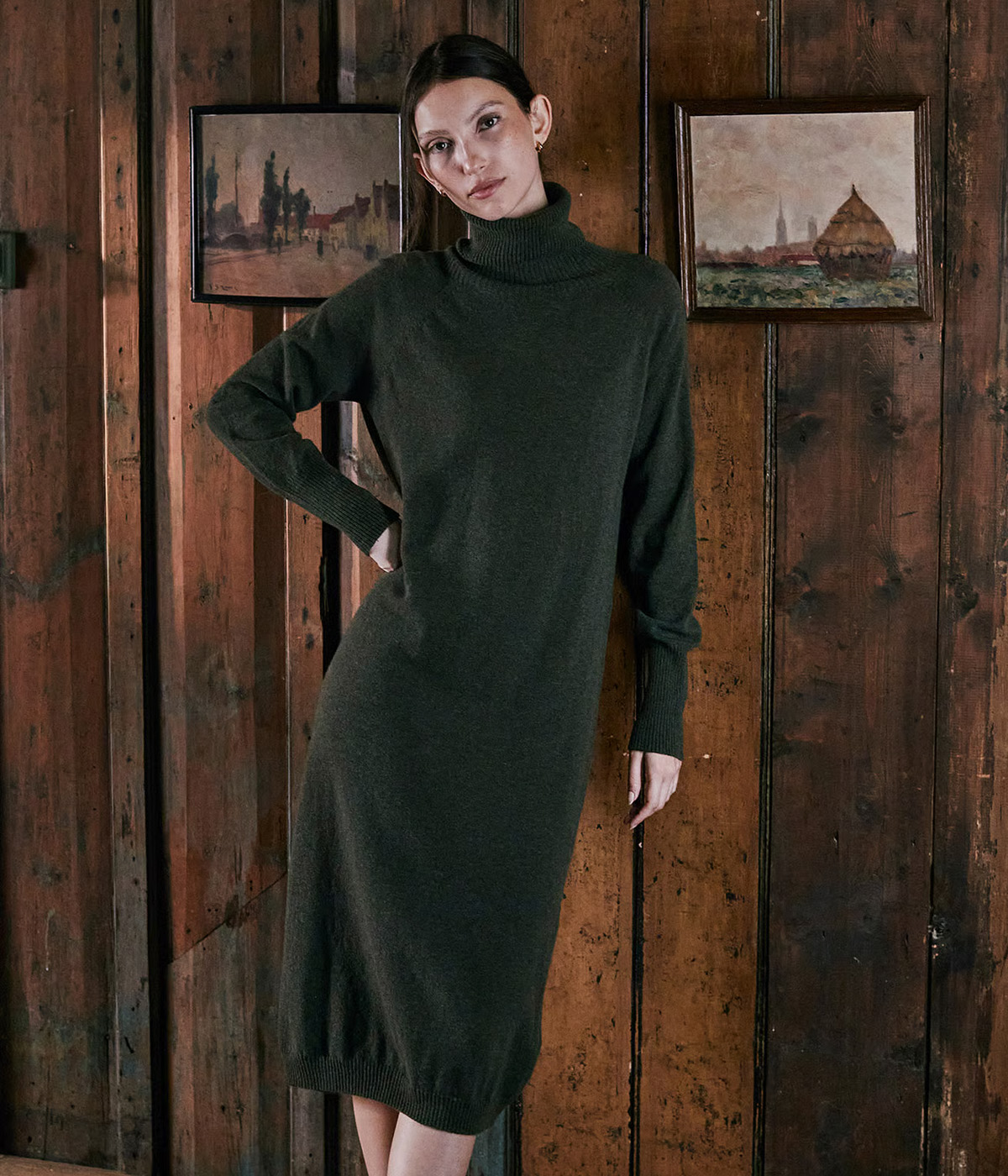 Supersoft Midi Roll Neck Dress