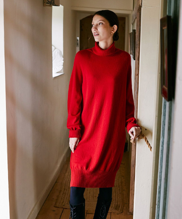 Supersoft Roll Neck Knee Length Dress