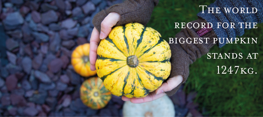 The world record for the biggest pumpkin stands at 1247kg.