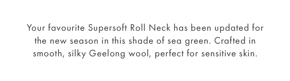 Supersoft Slouch Roll Neck Jumper