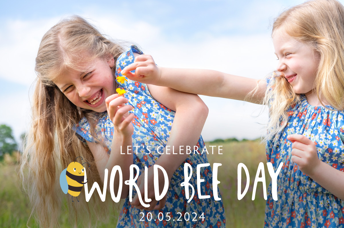Let's celebrate World Bee Day. 20.05.2024