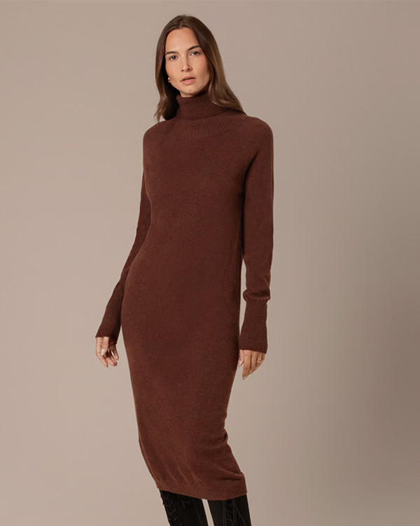 Supersoft Midi Roll Neck Dress
