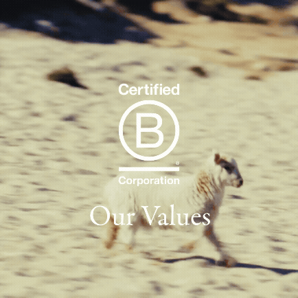 B Corp. Our values
