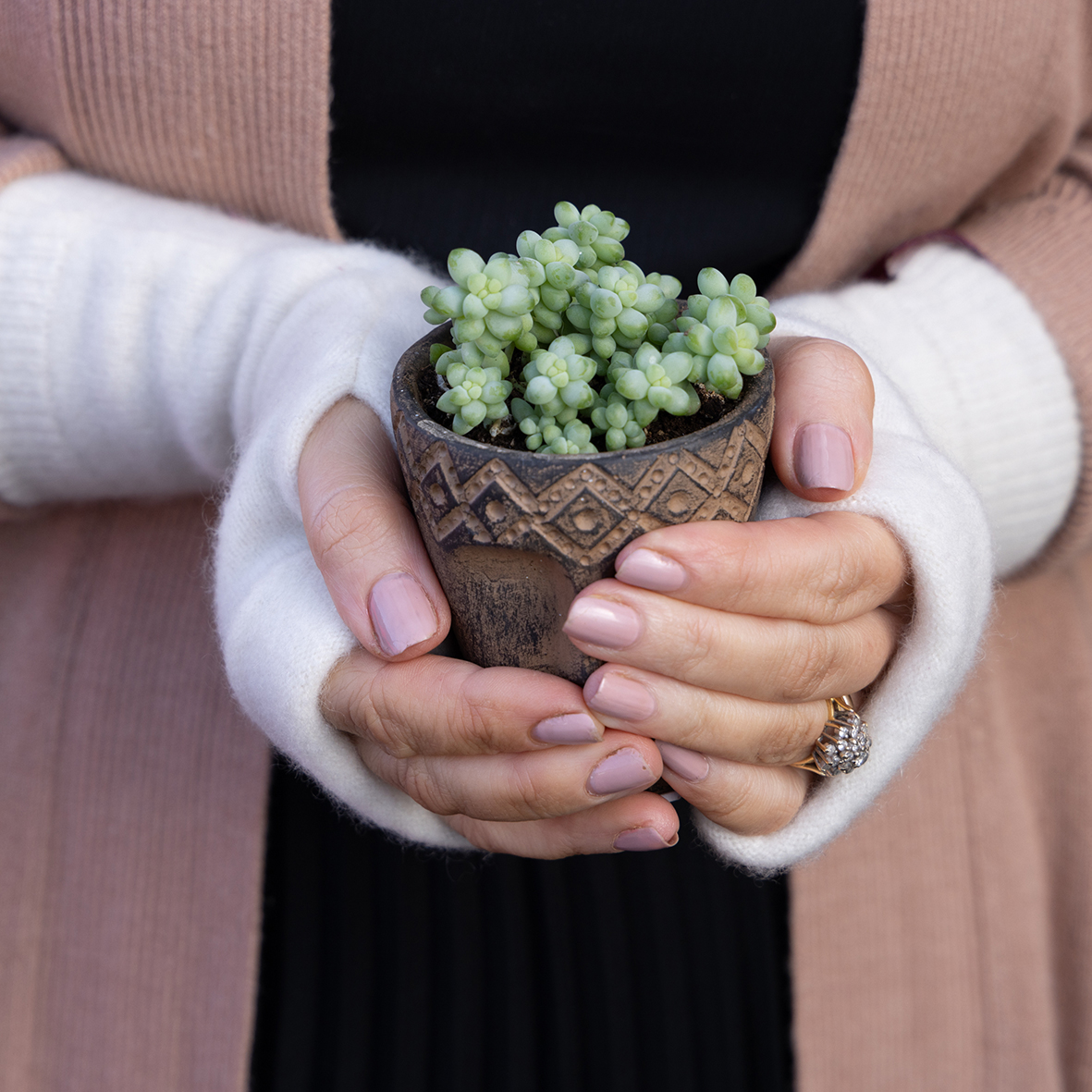 Cream Fingerless Gloves