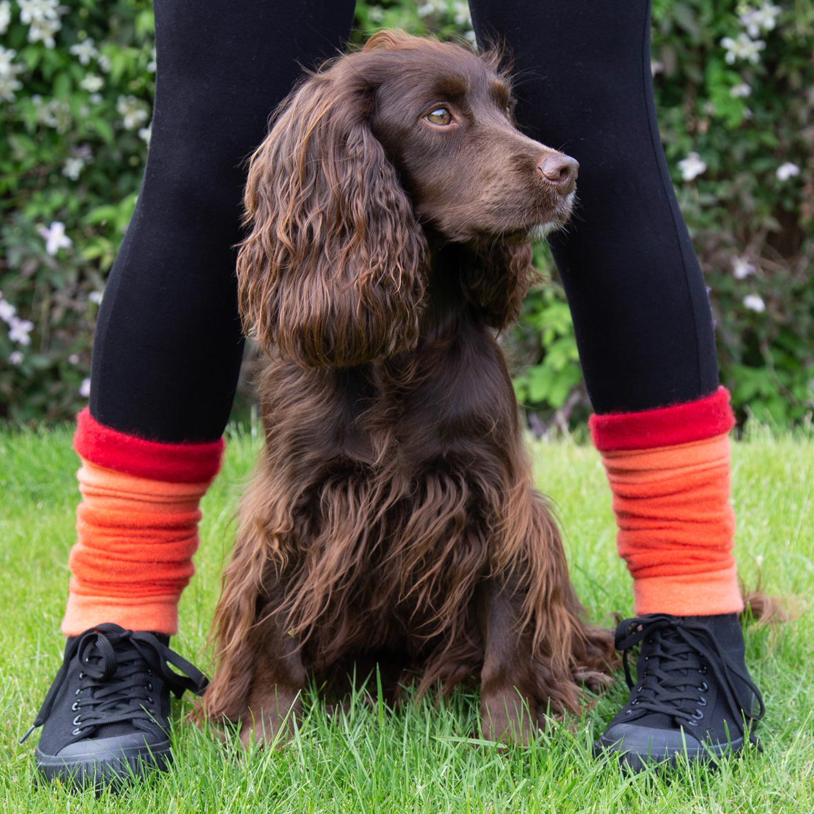 Orange & Red Ankle Warmers