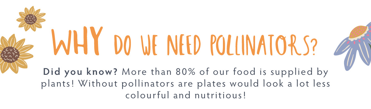 Why do we need pollinators?