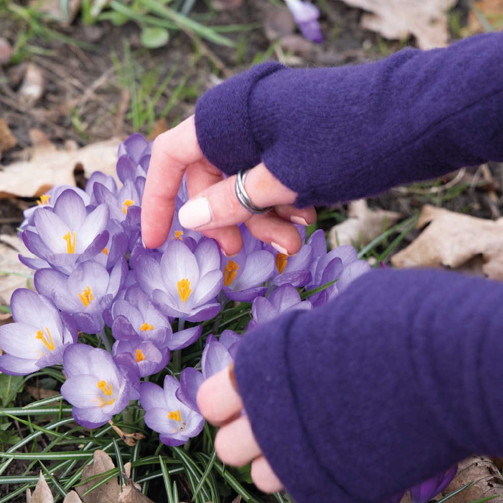 Purple Fingerless Gloves