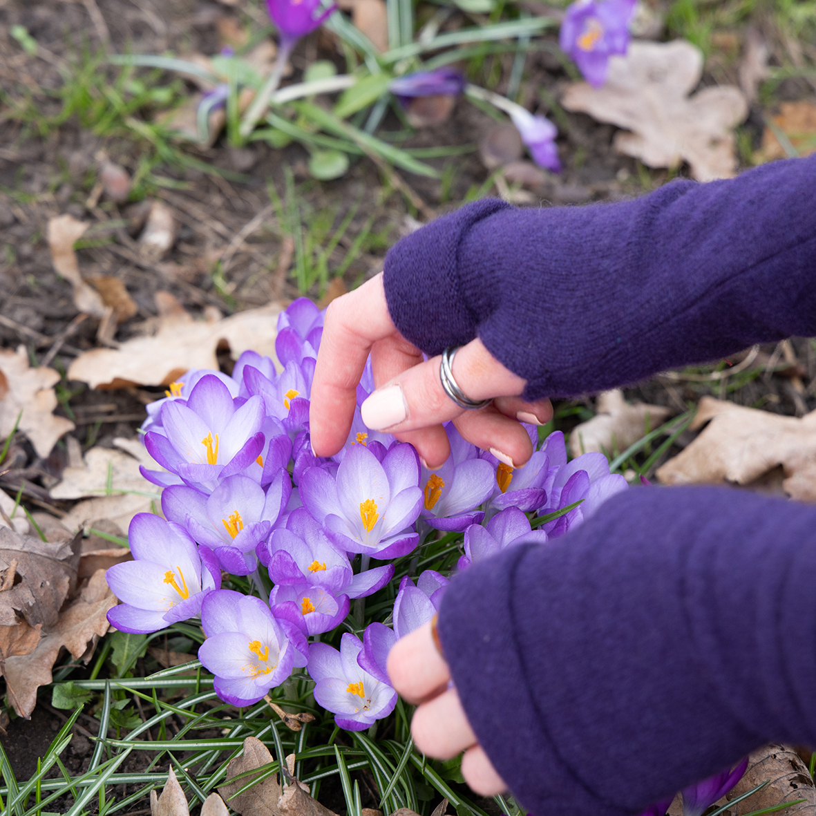 Purple Fingerless Gloves