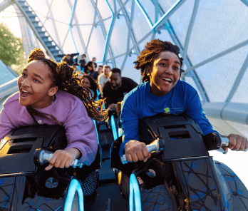 Disney and Universal Combo Ticket
