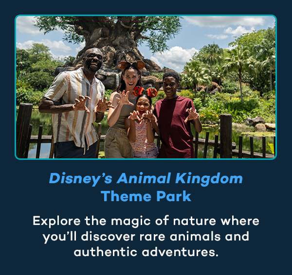 Disney's Animal Kingdom Theme Park