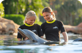 Discovery Cove Ultimate Package