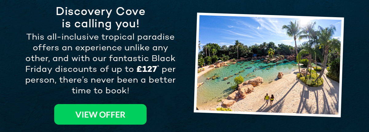 Discovery Cove is calling you!