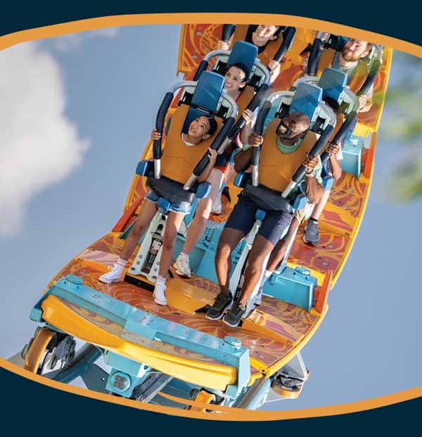 Up to 25% OFF Orlando Attraction Tickets WITH CODE: SUNNY