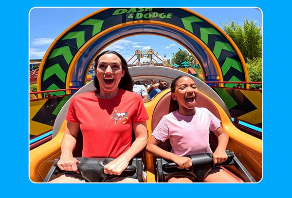 Disney and Universal Combo Ticket