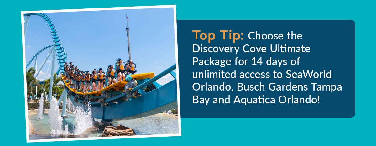 Top Tip: Choose the Discovery Cove Ultimate Package