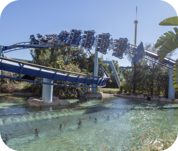 Seaworld Orlando