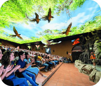 Loro Parque One Day Ticket with Free Burger