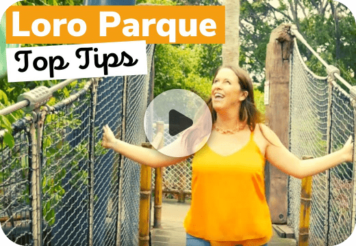 Watch Video - Loro Parque