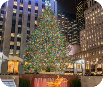 The Rockefeller Center Christmas Tree