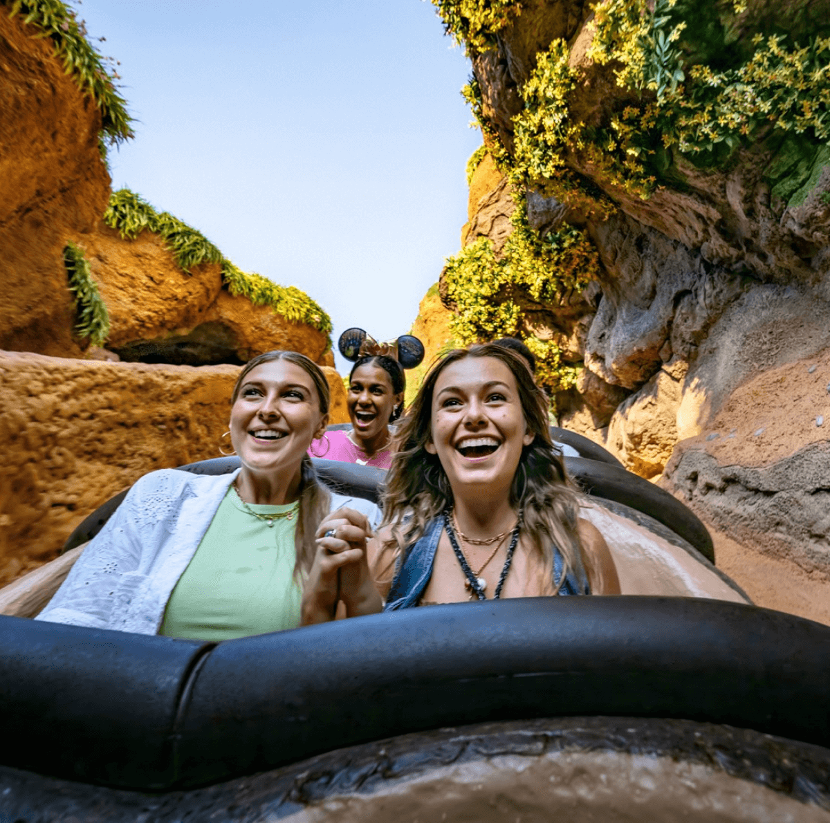 What's New in Orlando and Beyond!