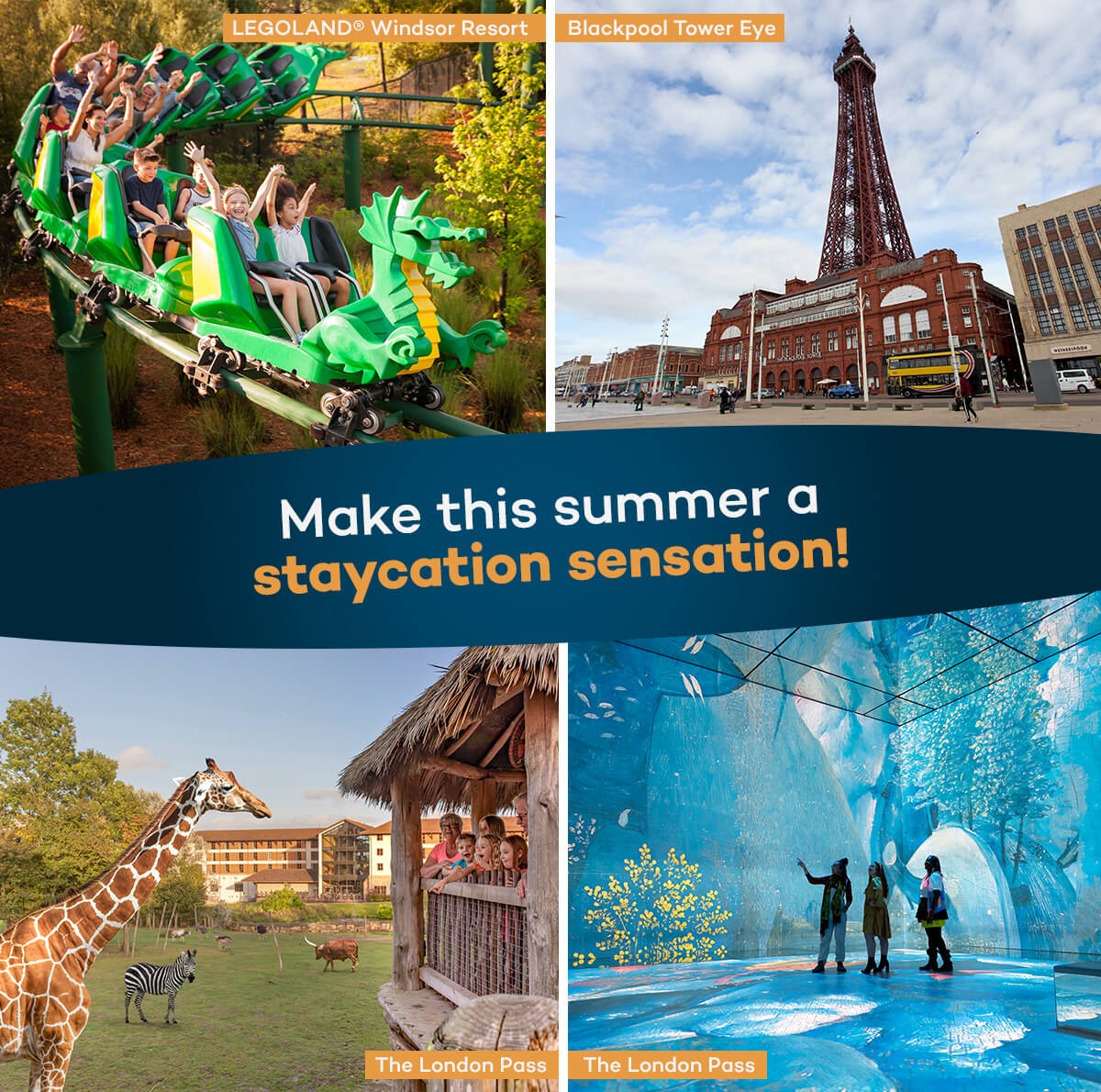 Make this summer a staycation sensation