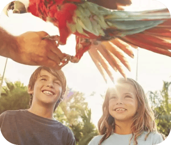 Sunny Attractions Holiday