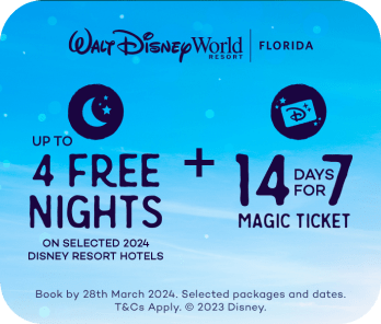 Walt Disney World Resort Hotels