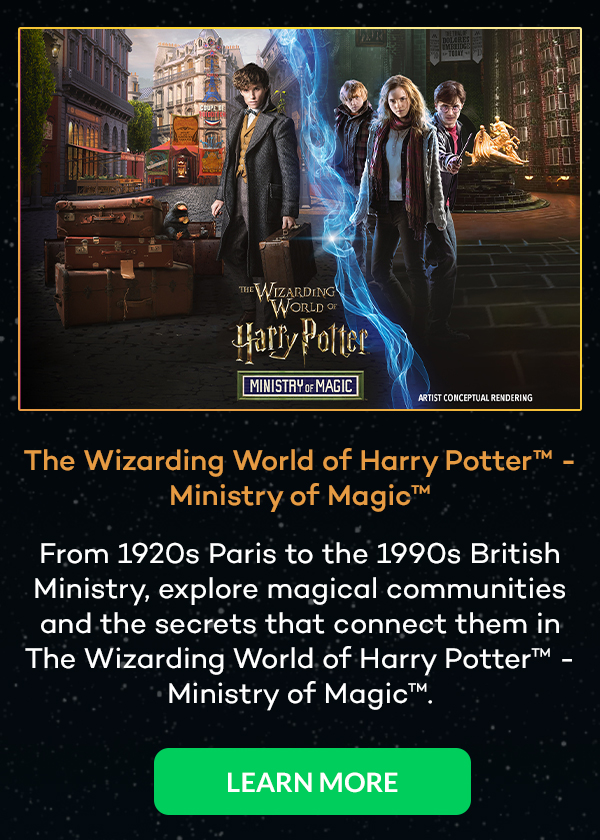 The Wizarding World of Harry Potter