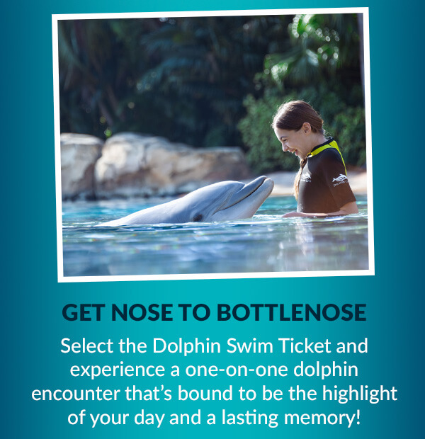 GET NOSE TO BOTTLENOSE