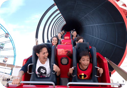Disneyland Resort 2-Day Park Hopper Ticket