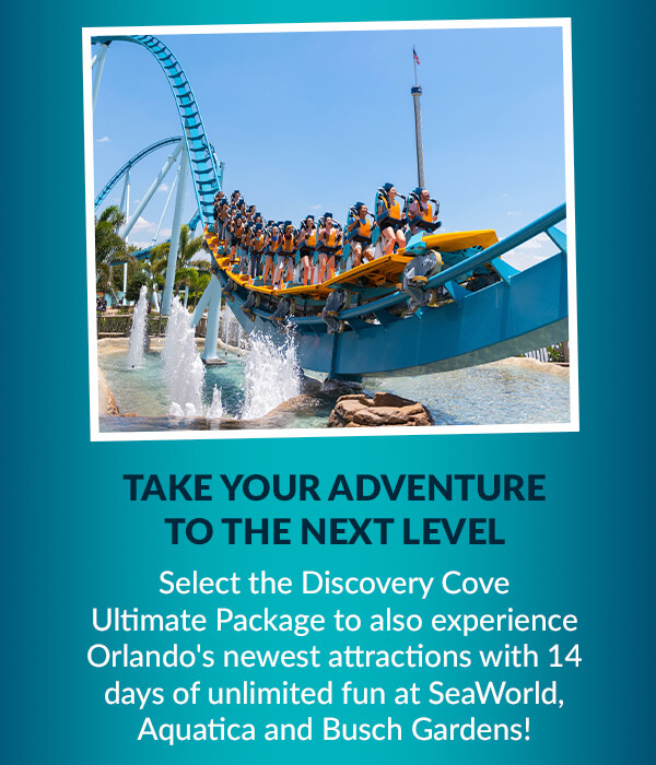TAKE YOUR ADVENTURE TO THE NEXT LEVEL