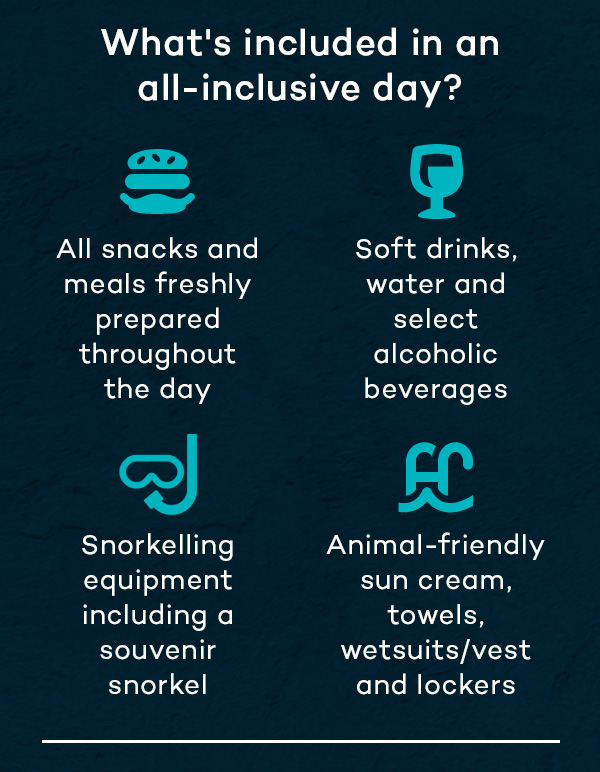 What's included in an all-day inclusive offer?