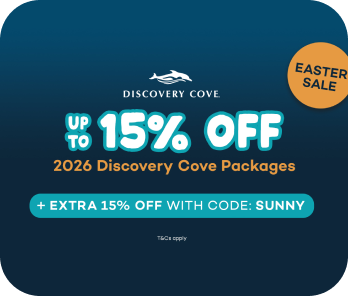 Discovery Cove Easter Sale