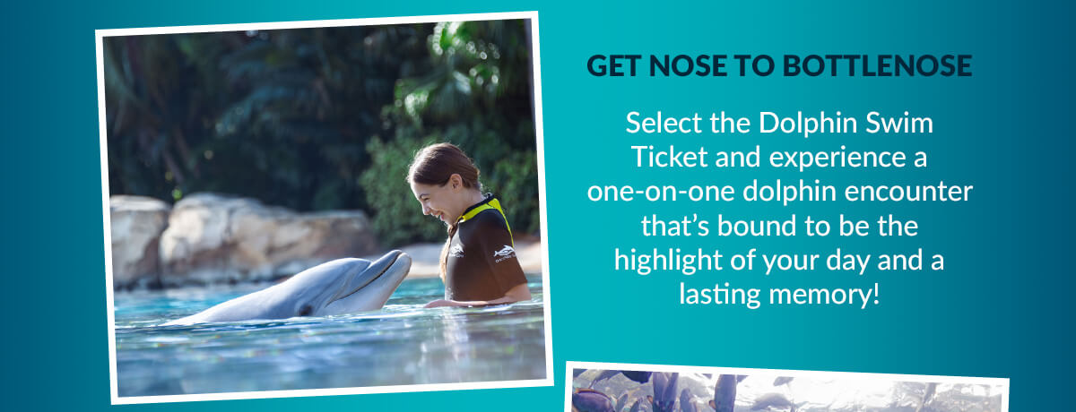 GET NOSE TO BOTTLENOSE