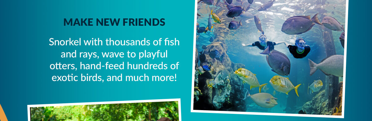 MAKE NEW FRIENDS