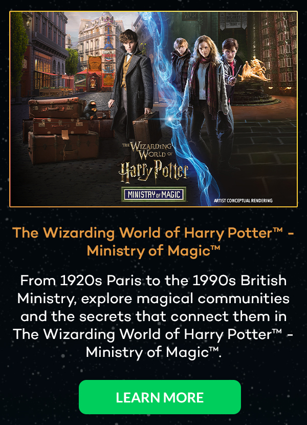 The Wizarding World of Harry Potter