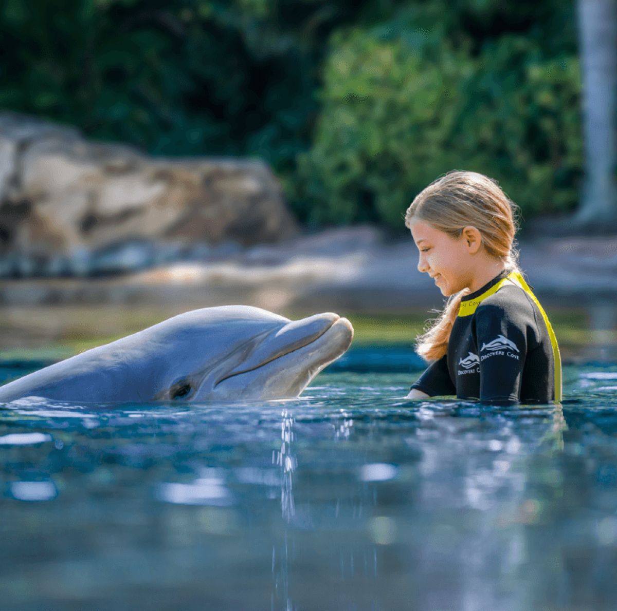 Top Tips for Visiting Discovery Cove®