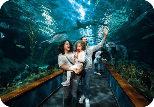 Loro Parque