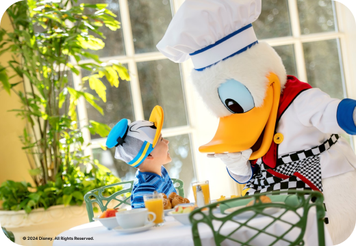 Walt Disney World