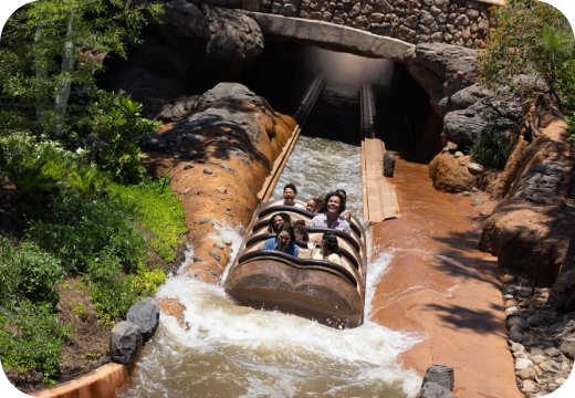 Magical Bayou Adventure