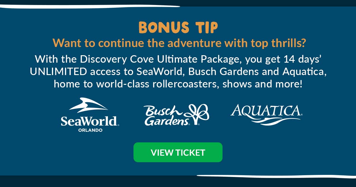 Discovery Cove Ultimate Package