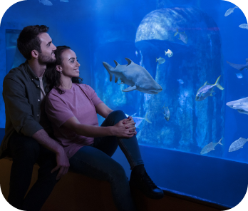 UK Sea Life Centres