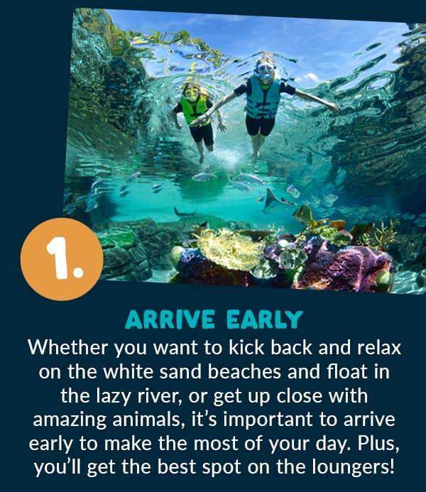 Tip 1: Arrive Early