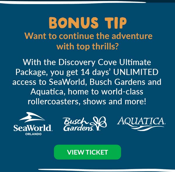 Discovery Cove Ultimate Package