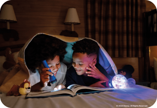 Disney Resort Hotels